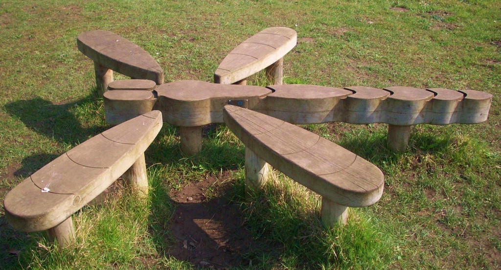 Dragonfly bench by lellie