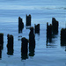 Ripples On The Old Dock by stephomy