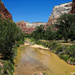 Zion National Park by lynne5477