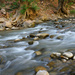 Virgin River in Zion Nat'l Park by lynne5477