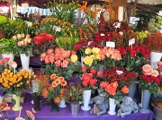 9th Oct 2010 - Flower Stand