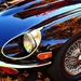 Jaguar E Type Series 3 1974 Roadster by soboy5