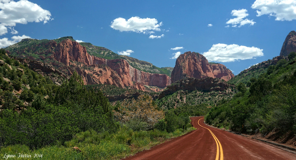 Into the Kolob Canyons by lynne5477