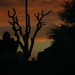 Sunset 4 by bellasmom