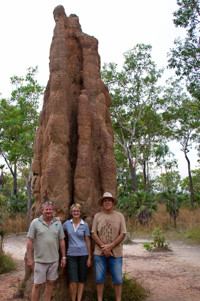 Giant Termite Mound by bella_ss