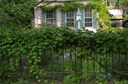 6th Jun 2014 - Fence and garden, historic district, Charleston, S