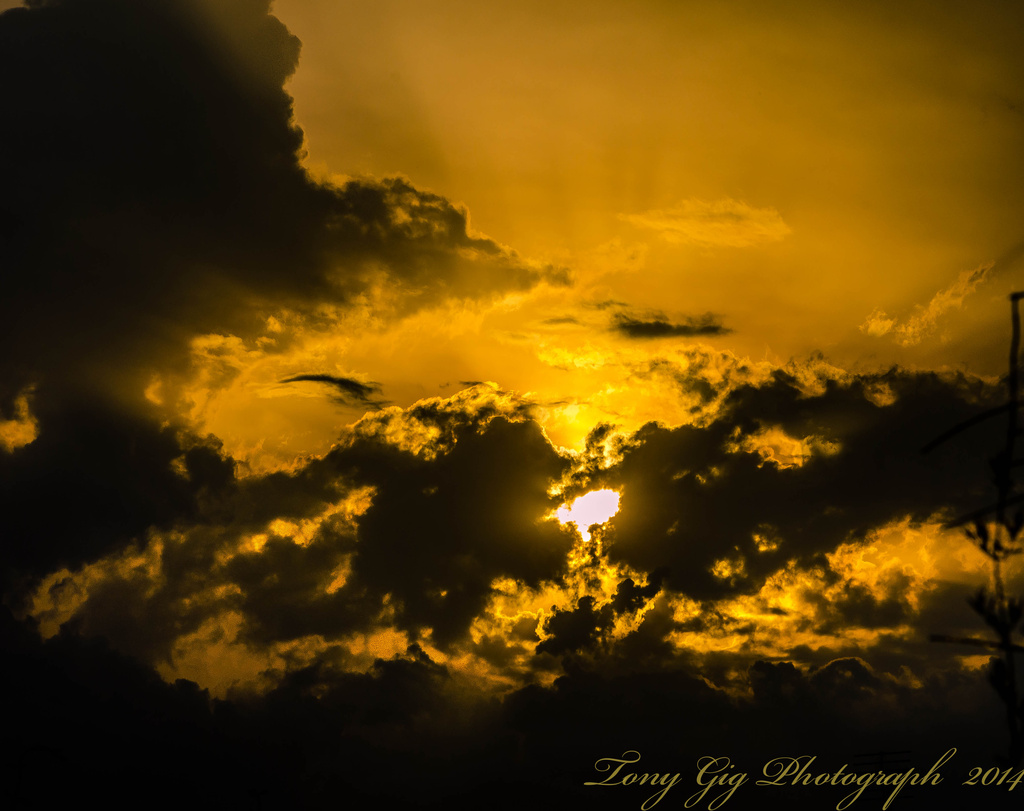 Early Morning Sun by tonygig