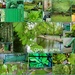 Green April by boxplayer