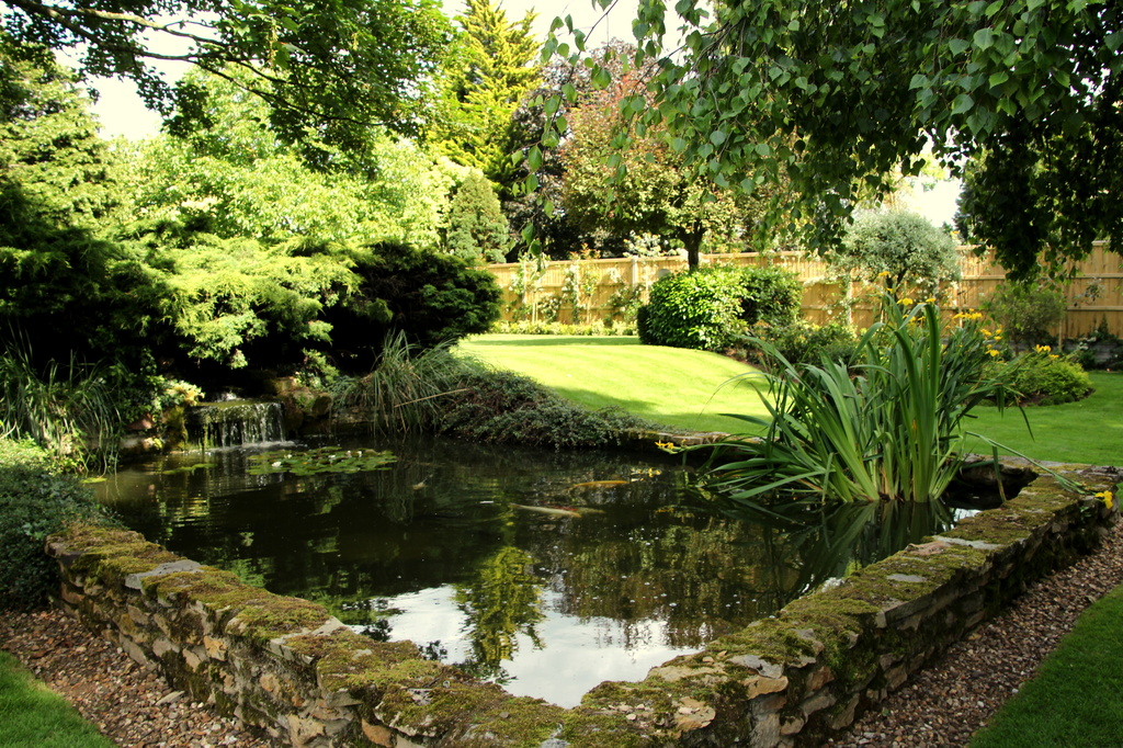 Garden pond at Crosshall Manor by busylady