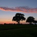 Another Suffolk Sunset by lellie
