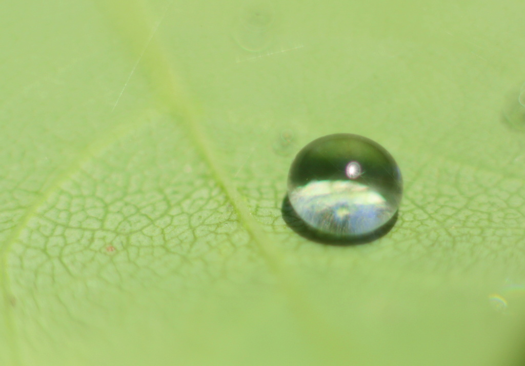 Little Drop of Water by kerristephens