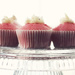 Strawberry Cupcakes by nicolecampbell
