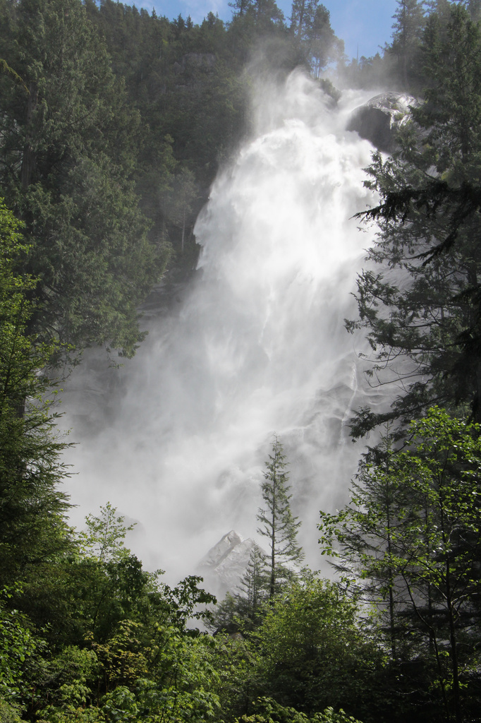 Shannon Falls by terryliv
