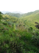8th Jun 2014 - View of the Verdant Valley