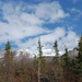 Denali National Park by graceratliff
