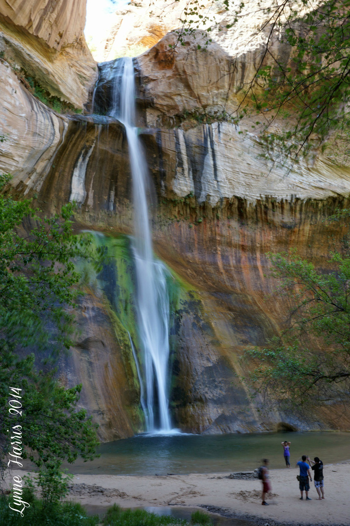 Calf Creek Falls by lynne5477