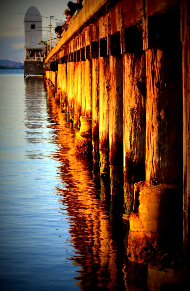 Cunningham Pier in the Afternoon sun by dianeburns