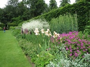 3rd Jun 2014 - Herbaceous border at Anglesey Abbey.