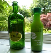 10th Jun 2014 - two green bottles..................