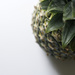 Pineapple by tina_mac