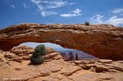 10th Jun 2014 - Mesa Arch