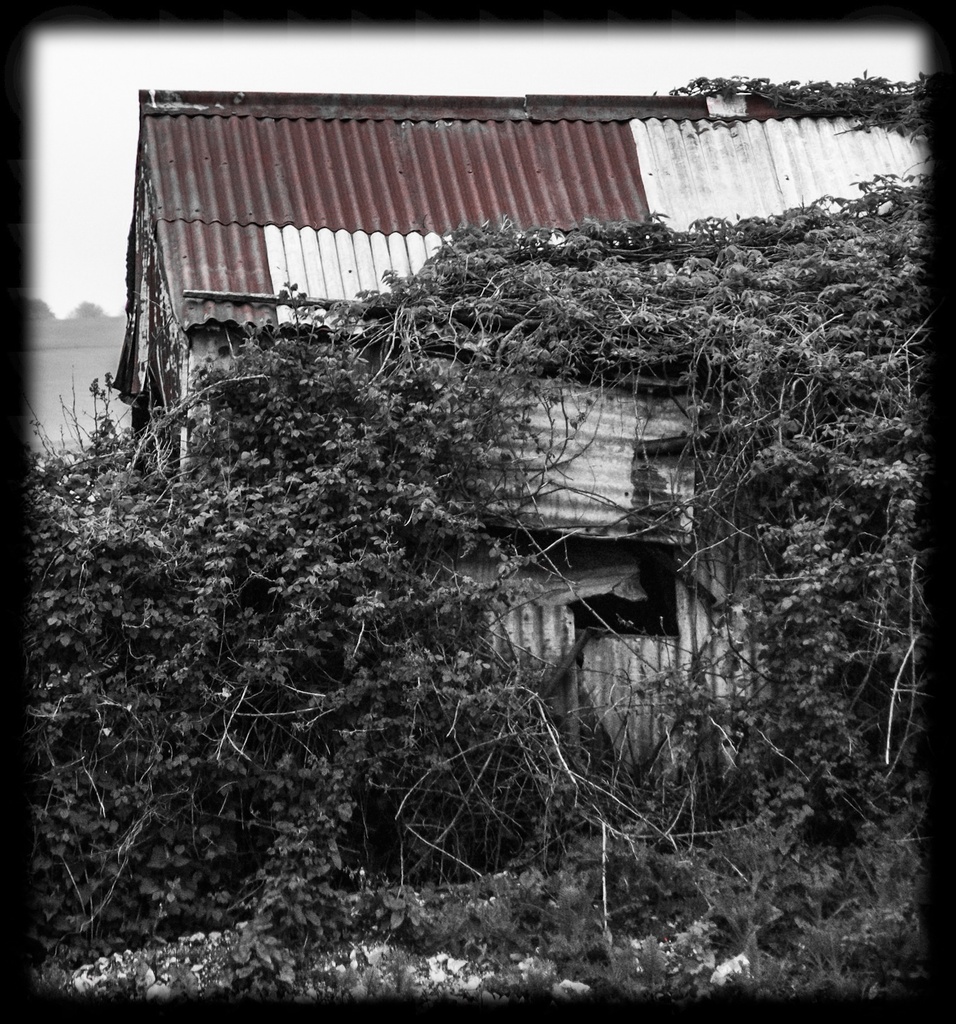 Cow Shed - again by sjc88