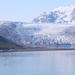 Grand Pacific Glacier by terryliv