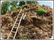 13th Jun 2014 - a posh compost heap