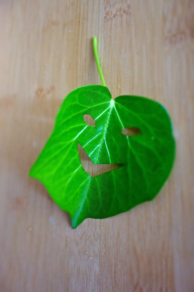 Smiling leaf by cocobella