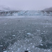 Harvard Glacier by terryliv