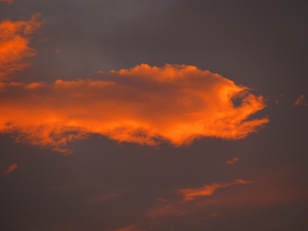 Goldfish Cloud  by april16