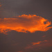 Goldfish Cloud  by april16