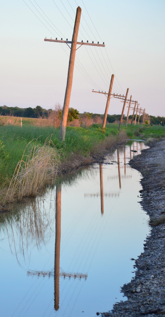 Reflecting on Ye Old Telegraph Poles by kareenking