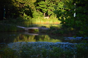 13th Jun 2014 - Take Time to Reflect