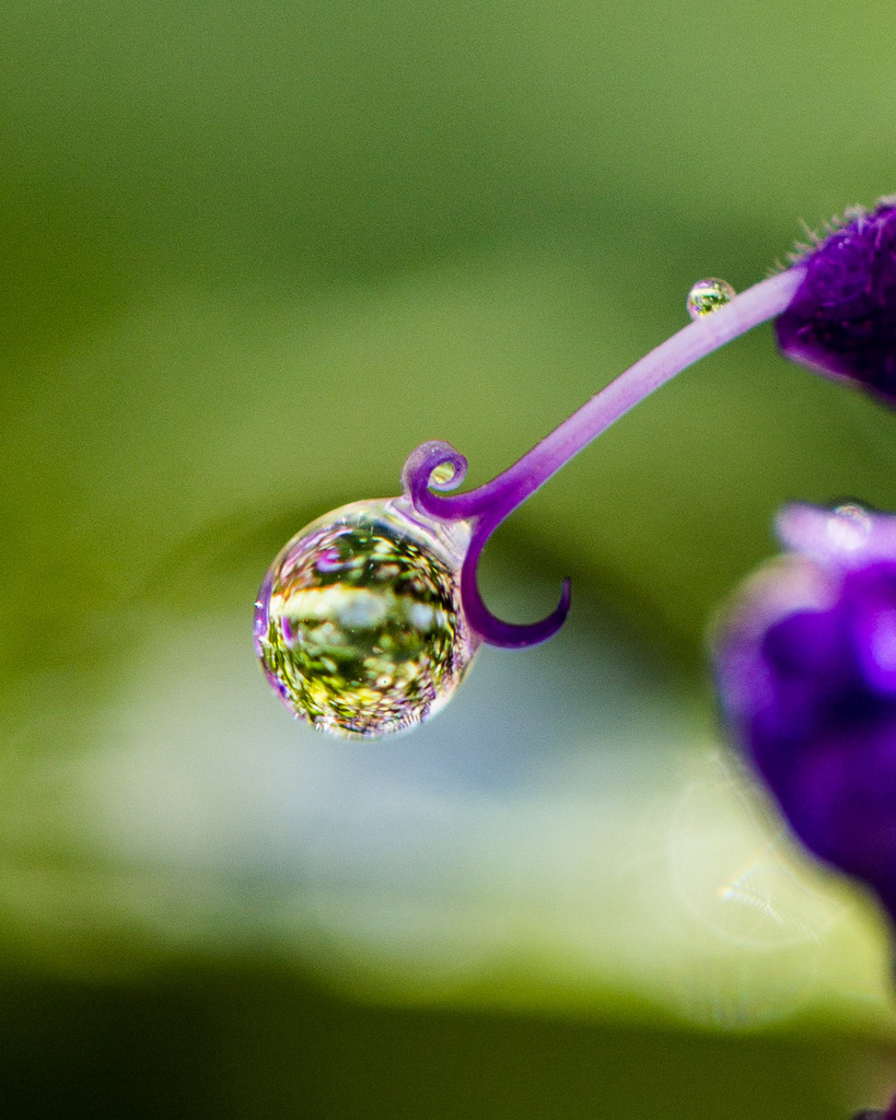 droplet by aecasey
