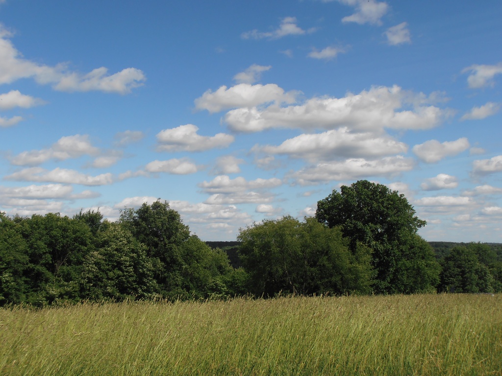 Perfect Wedding Weather by julie