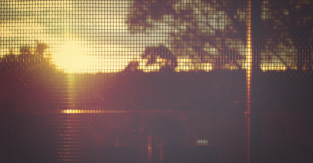 mesh sunset by pocketmouse