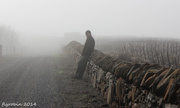 15th Jun 2014 - Man in the fog