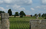 15th Jun 2014 -  oast houses  and vineyards......