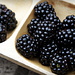 Blackberries by boxplayer