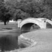 June 15:Water under the bridge by daisymiller