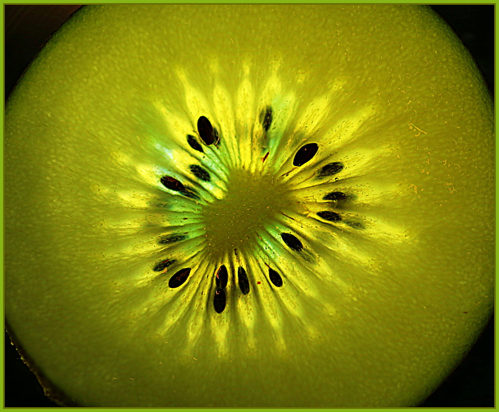 Kiwifruit closeup by dide