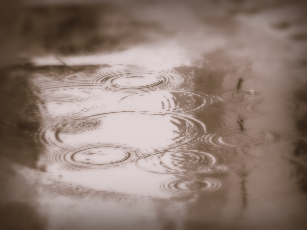 A Puddle n Ripples by amrita21
