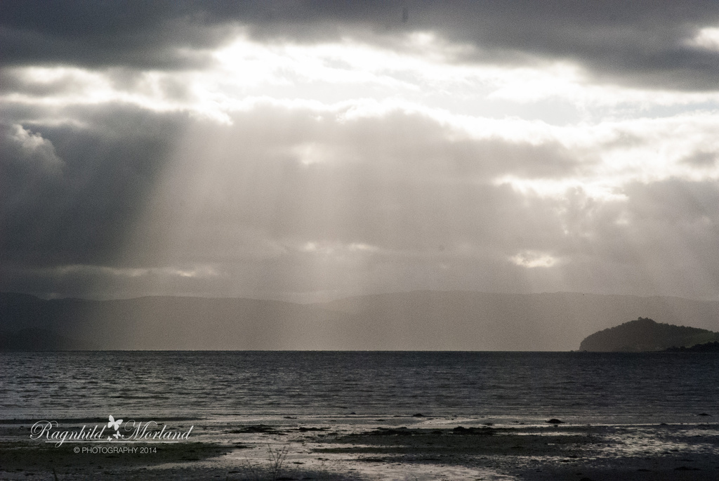 Rays by ragnhildmorland