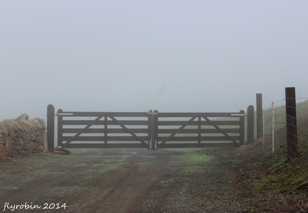 The gate leading into the fog by flyrobin