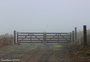 16th Jun 2014 - The gate leading into the fog