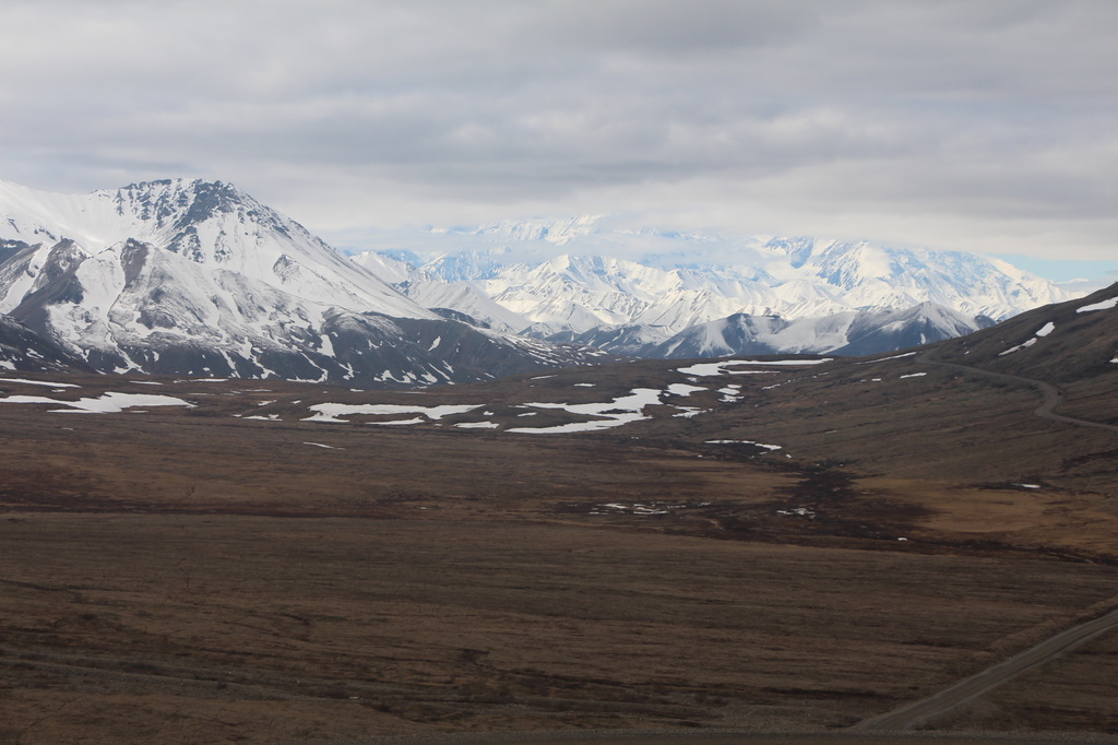 Almost Denali by terryliv