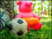 16th Jun 2014 - Piggy Celebrates the World Cup