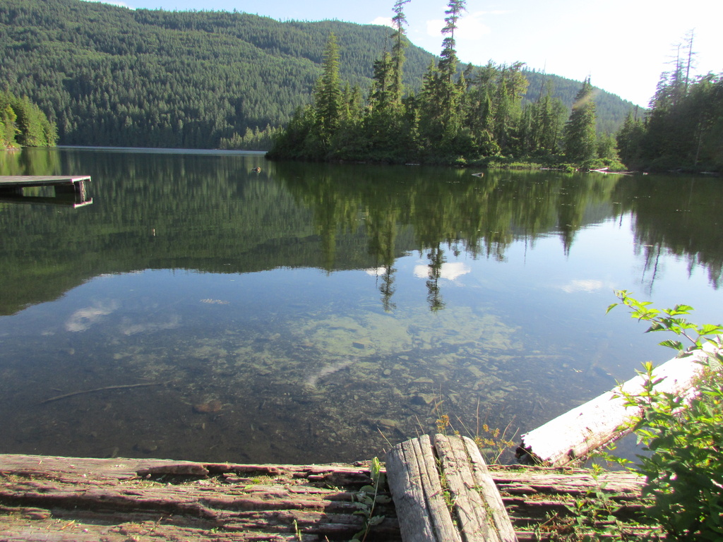 Shallows & Reflections by pamelaf