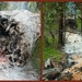 Burning log by gosia